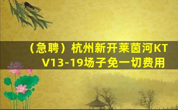 衢州夜场招聘